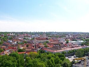 Vilniaus m.